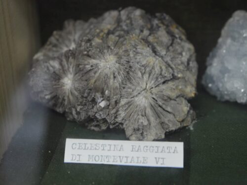 La Celestina e l’Antracoterio: tra minerali e fossili, ricchezza di Monteviale